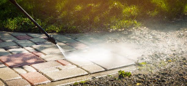 Best Sidewalk and Walkway Cleaning  in Mahtomedi, MN